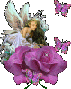 AngelPic158.gif (25522 bytes)